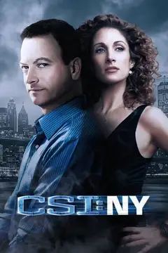 CSI: Nueva York Ver Online Castellano • veroTV