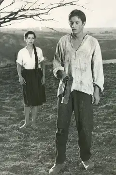 Comoara din Vadul Vechi veroTV Online • Pelicula Completa