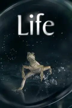 Life Ver Online Castellano • veroTV
