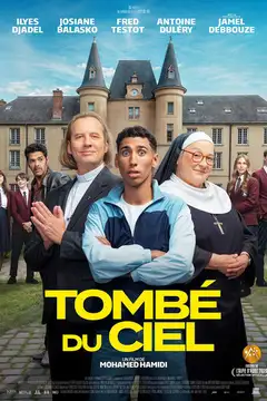 Tombé du ciel Online • Polski Lektor