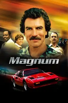Magnum 1980 Ver Online Castellano • veroTV