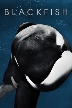 Blackfish veroTV Online • Pelicula Completa