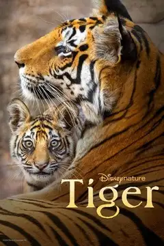 Tigres veroTV Online • Pelicula Completa