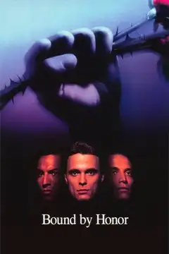 Ver Sangre por sangre película completa online en español