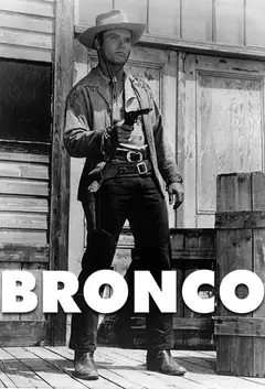 Serie Bronco completa ver online castellano