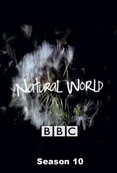 Temporada 10