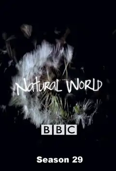 Temporada 29
