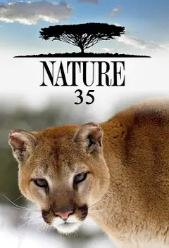 Sezon 35