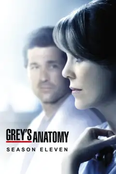 Temporada 11