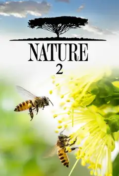 Sezon 2