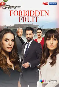 Temporada 5