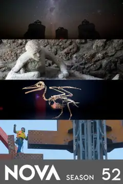 Temporada 52