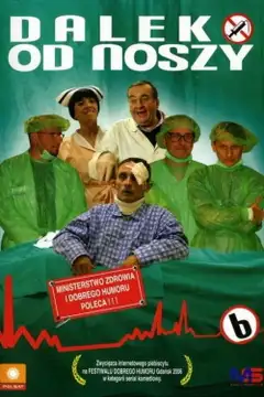 Sezon 6