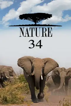 Sezon 34