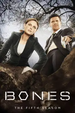 Temporada 5