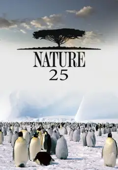 Sezon 25