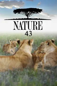 Sezon 43