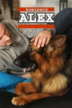 Sezon 6