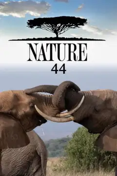 Sezon 44