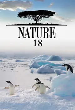 Sezon 18