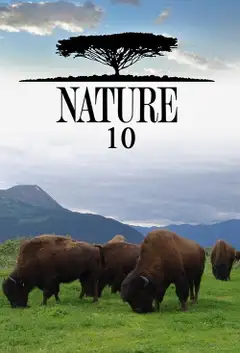 Sezon 10
