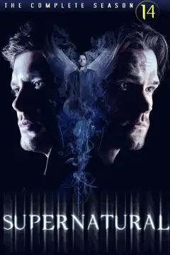 Temporada 14