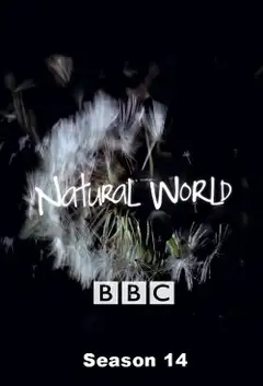 Temporada 14