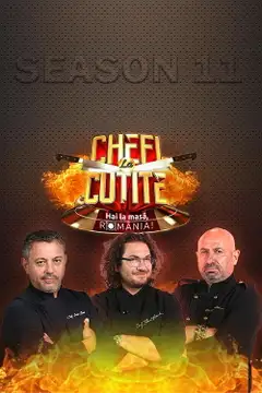Temporada 11