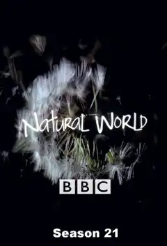 Temporada 21