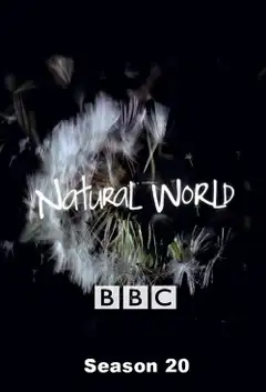 Temporada 20