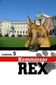 Temporada 5