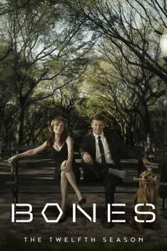 Temporada 12