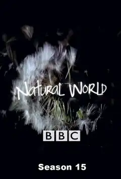 Temporada 15