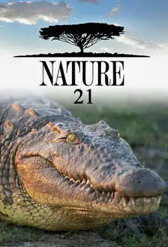 Sezon 21