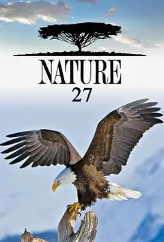 Sezon 27