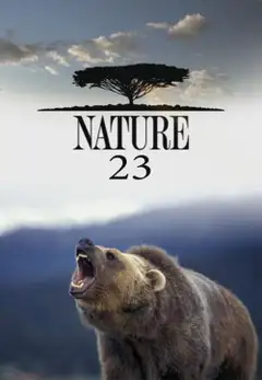 Sezon 23