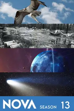 Temporada 13