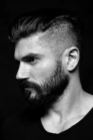 Peliculas de Andrew Levitas