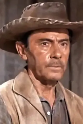 Peliculas de Charles Wagenheim