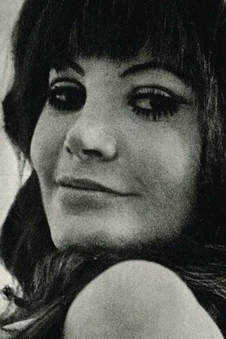 Peliculas de Bambi Allen