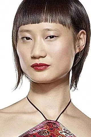 Peliculas de Ping Wu