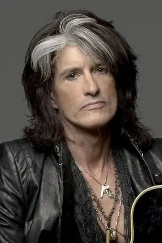 Peliculas de Joe Perry
