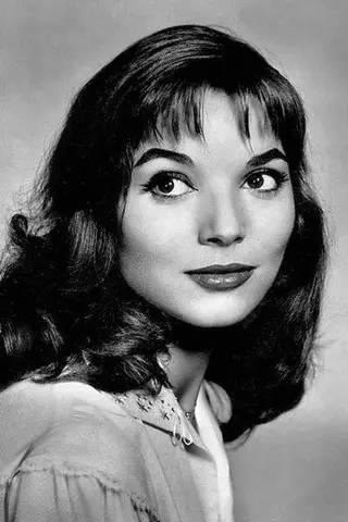 Peliculas de Elsa Martinelli
