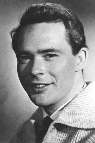 Peliculas de Henning Palner