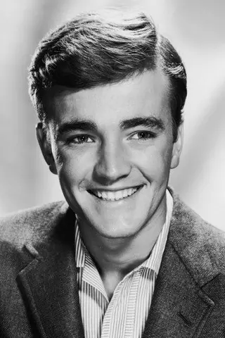 Peliculas de Robert Walker Jr.