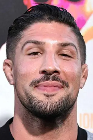 Peliculas de Brendan Schaub