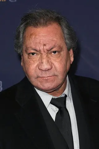 Peliculas de Tony Gatlif