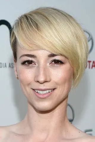 Peliculas de Karine Vanasse