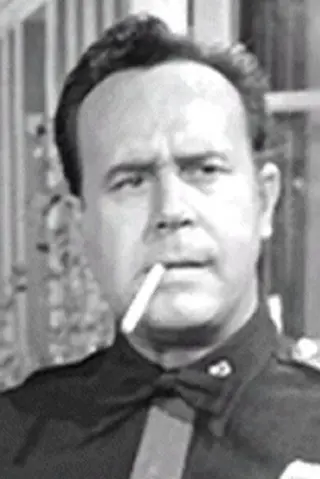Peliculas de Don Shelton