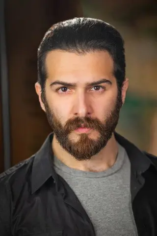 Peliculas de Sean Ardalan